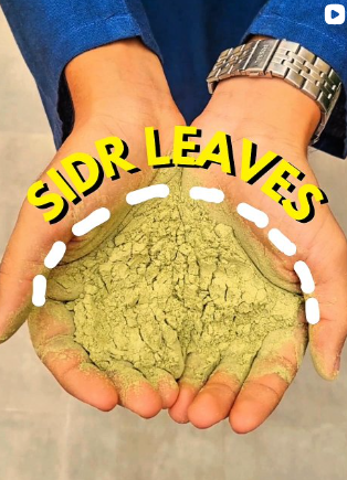 Sidr Leaves — watch the reel on Instagram